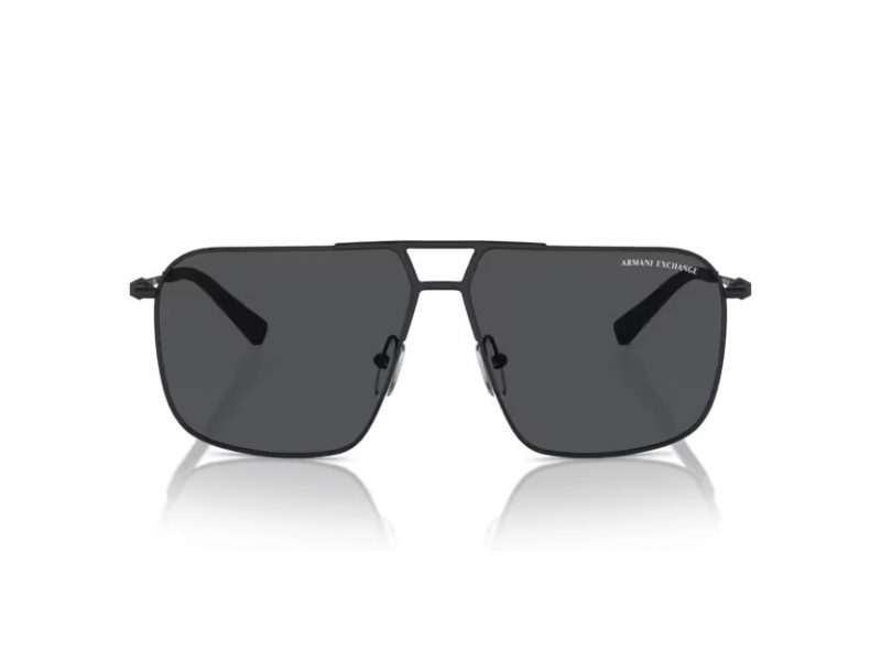 Armani Exchange Solglasögon AX 2050S 600087