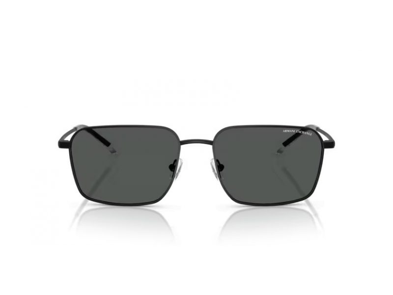 Armani Exchange Solglasögon AX 2053S 600087