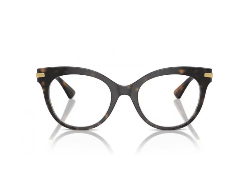 Dolce & Gabbana Glasögon DG 3392 3217