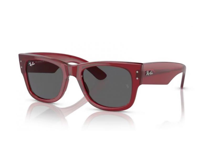 Ray-Ban Mega Wayfarer Solglasögon RB 0RB0840S 6679B1