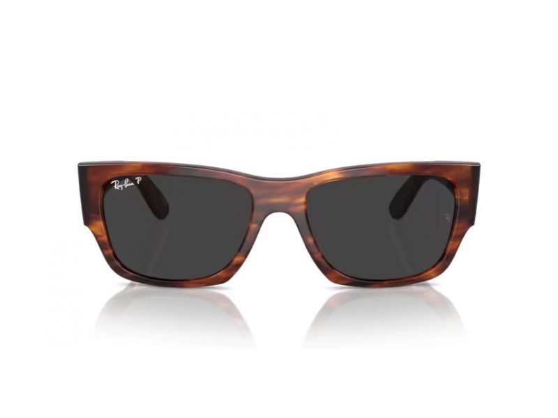 Ray-Ban Carlos Solglasögon RB 0947S 954/48