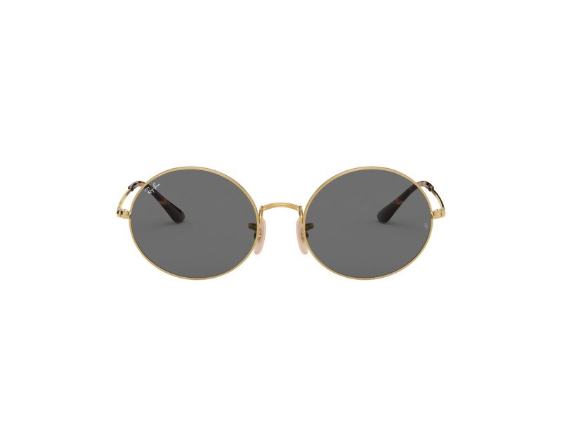 Ray-Ban Oval Solglasögon RB 1970 9150/B1