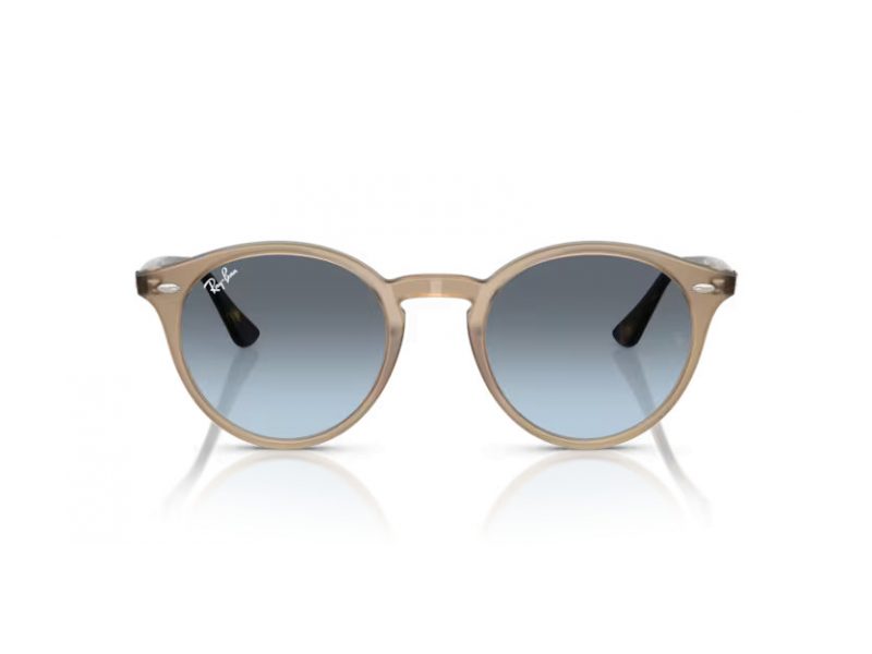 Ray-Ban Solglasögon RB 2180 6788V1