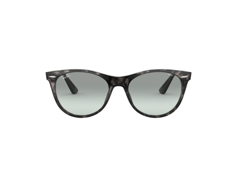 Ray-Ban Wayfarer Ii Solglasögon RB 2185 1250/AD