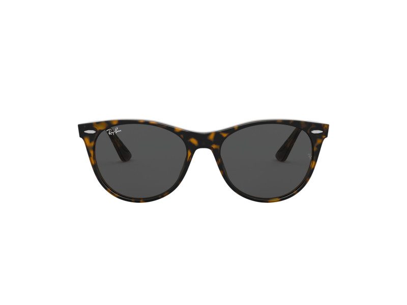 Ray-Ban Wayfarer Ii Solglasögon RB 2185 1292/B1