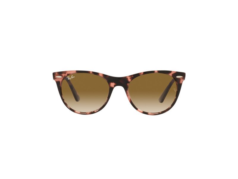 Ray-Ban Wayfarer Ii Solglasögon RB 2185 1334/51