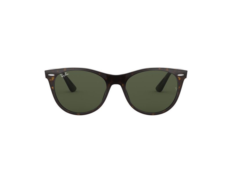 Ray-Ban Wayfarer Ii Solglasögon RB 2185 902/31