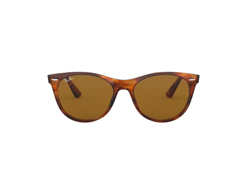 Ray-Ban Wayfarer Ii Solglasögon RB 2185 954/33