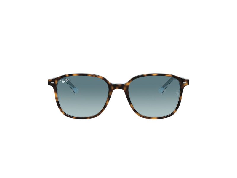 Ray-Ban Leonard Solglasögon RB 2193 1316/3M