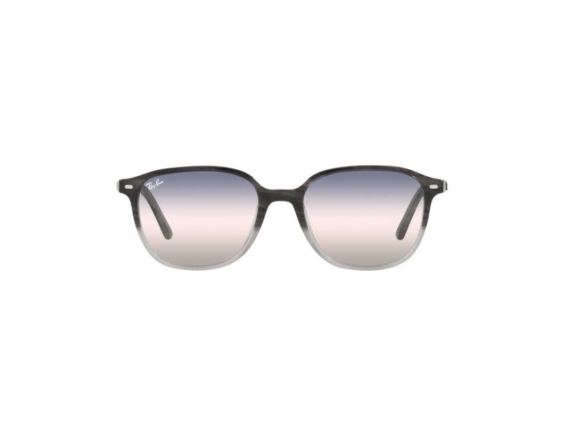 Ray-Ban Leonard Solglasögon RB 2193 1326/GE