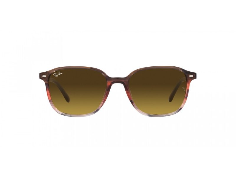 Ray-Ban Leonard Solglasögon RB 2193 138085