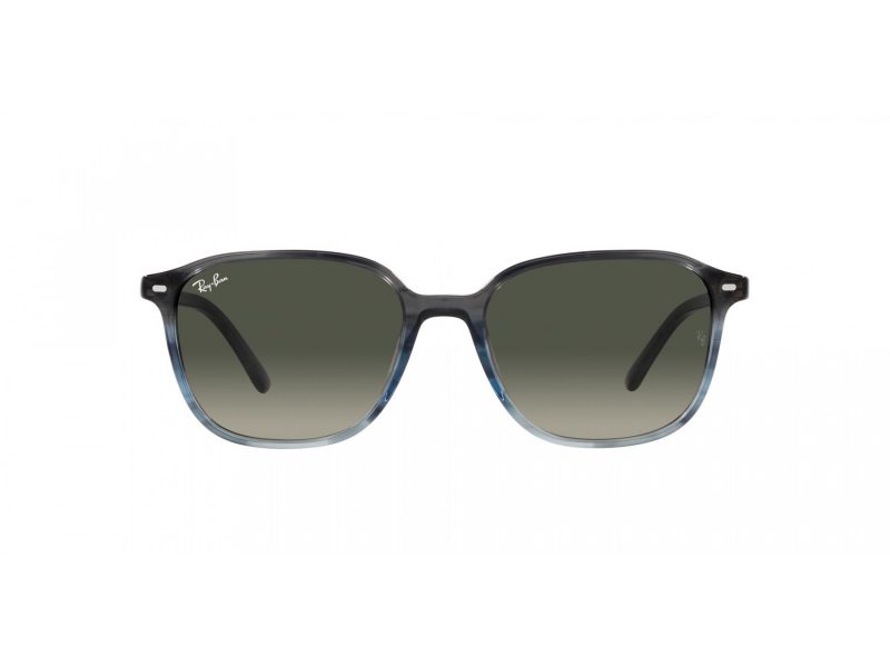 Ray-Ban Leonard Solglasögon RB 2193 138171