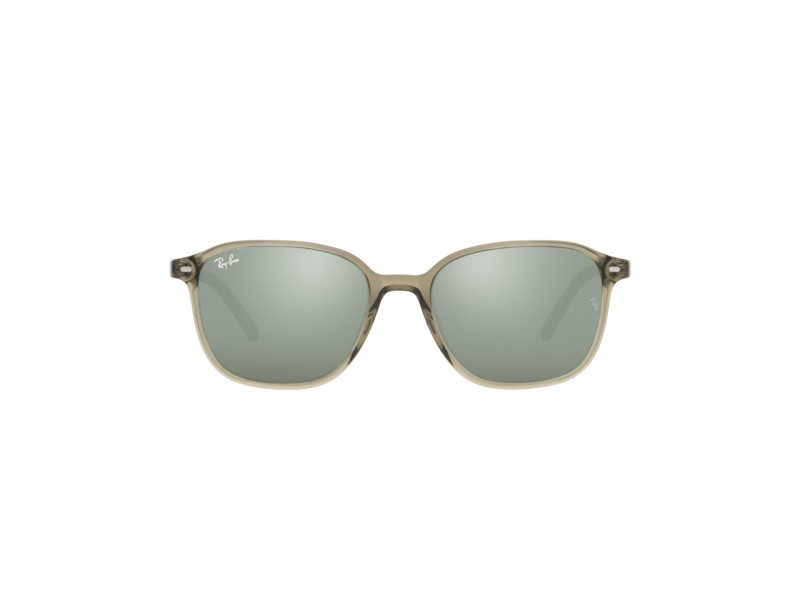 Ray-Ban Leonard Solglasögon RB 2193 6635/5C