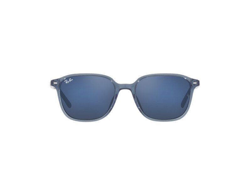 Ray-Ban Leonard Solglasögon RB 2193 6638/O4