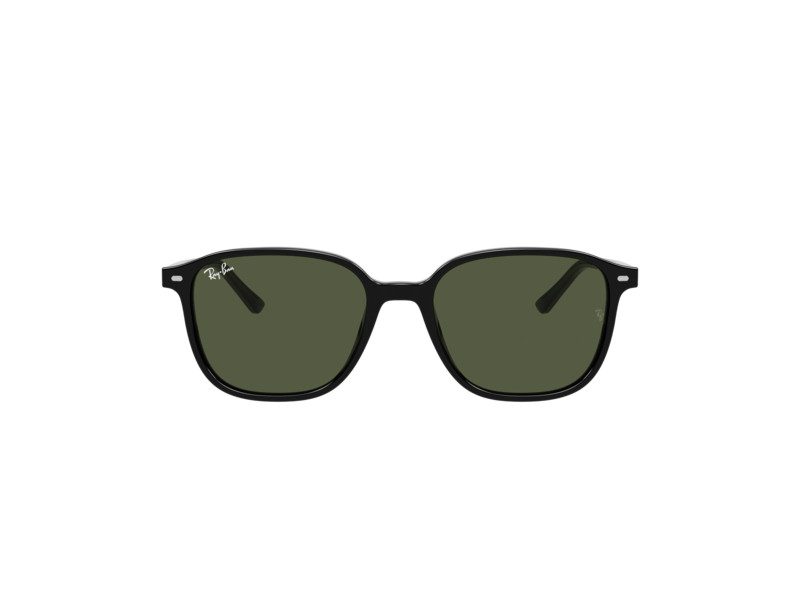 Ray-Ban Leonard Solglasögon RB 2193 901/31