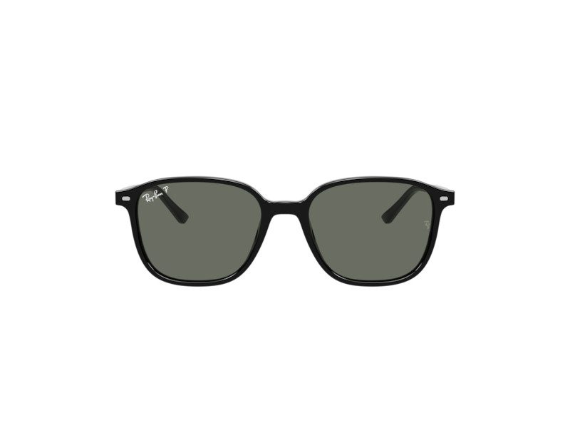 Ray-Ban Leonard Solglasögon RB 2193 901/58