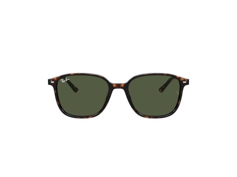 Ray-Ban Leonard Solglasögon RB 2193 902/31