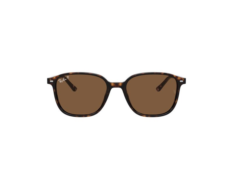 Ray-Ban Leonard Solglasögon RB 2193 902/57