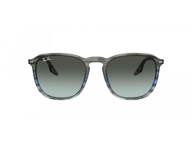 Ray-Ban Solglasögon RB 2203 1391GK