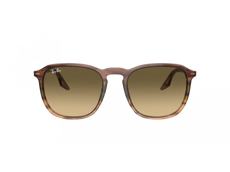 Ray-Ban Solglasögon RB 2203 13920A