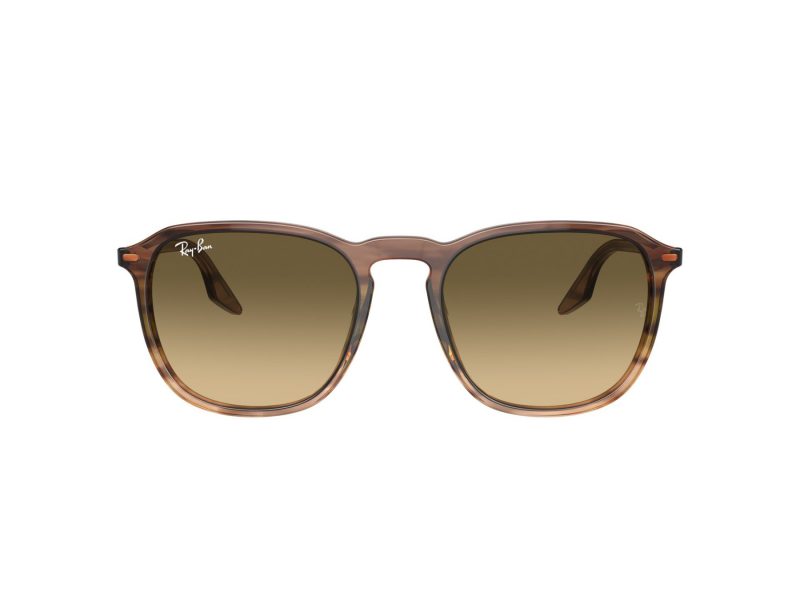 Ray-Ban Solglasögon RB 0RB2203 13920A