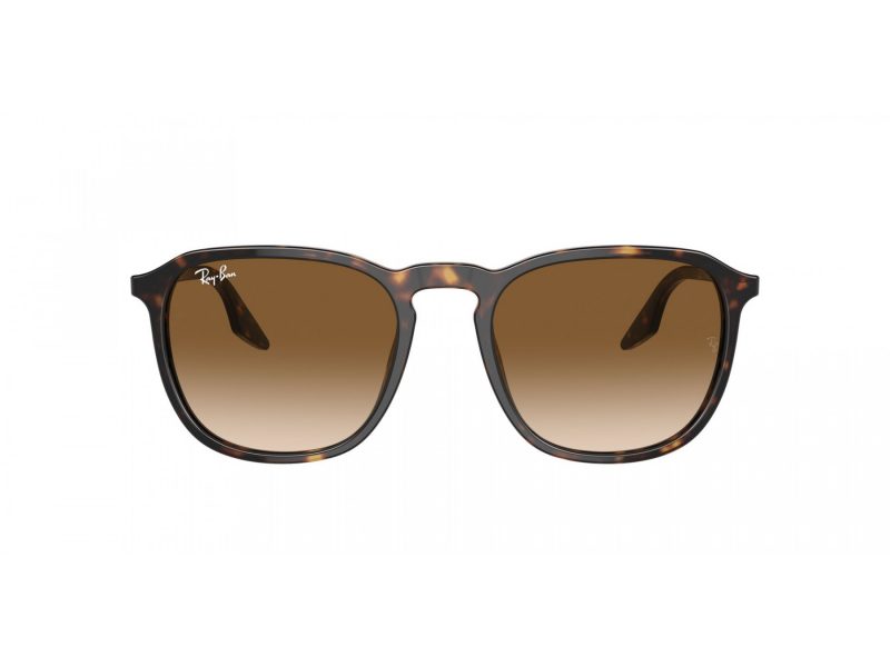 Ray-Ban Solglasögon RB 2203 902/51