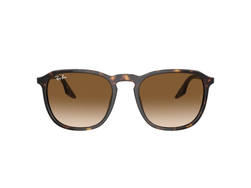 Ray-Ban Solglasögon RB 0RB2203 902/51