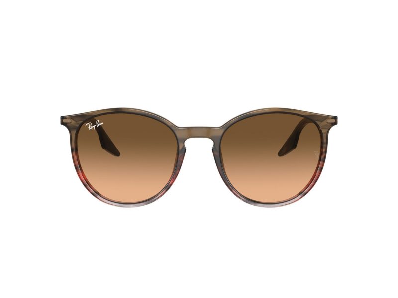 Ray-Ban Solglasögon RB 0RB2204 13953B