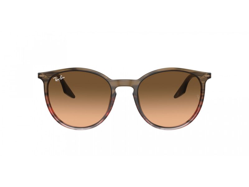 Ray-Ban Solglasögon RB 2204 13953B