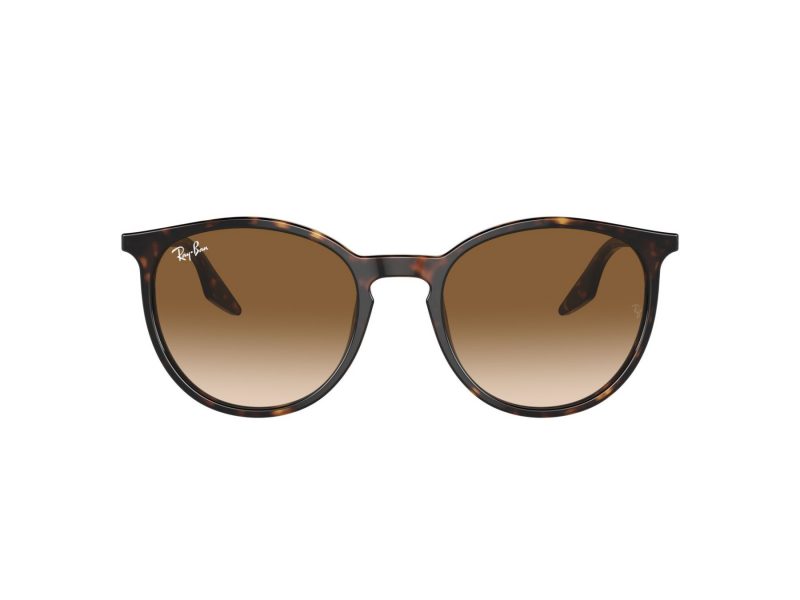 Ray-Ban Solglasögon RB 0RB2204 902/51