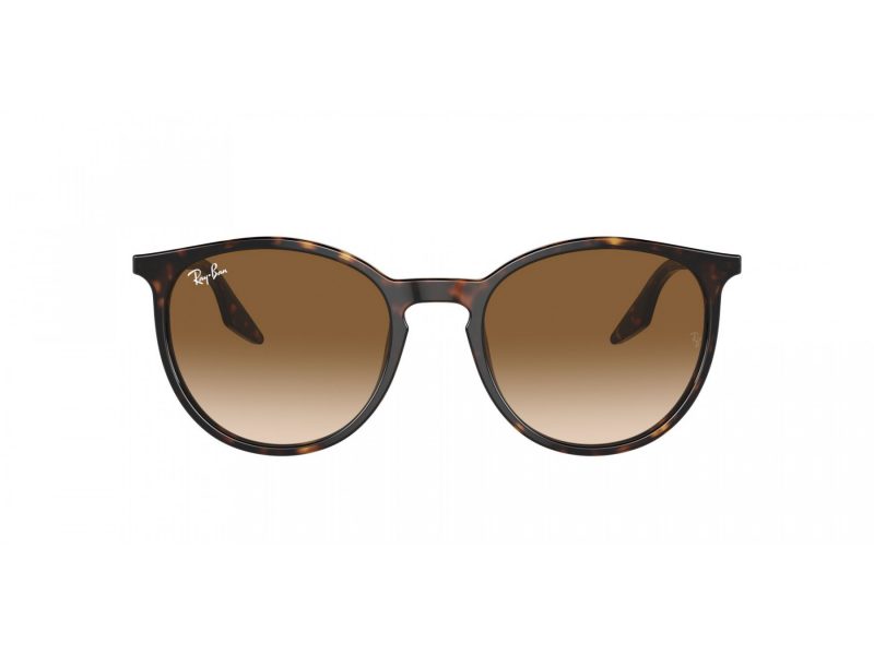 Ray-Ban Solglasögon RB 2204 902/51