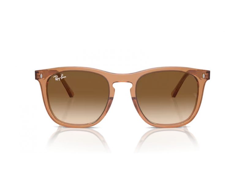 Ray-Ban Solglasögon RB 2210 676451