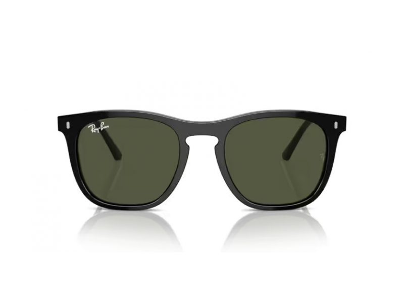 Ray-Ban Solglasögon RB 2210 901/31