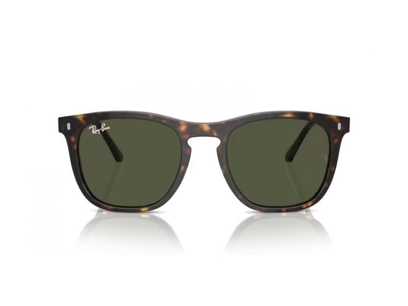 Ray-Ban Solglasögon RB 2210 902/31