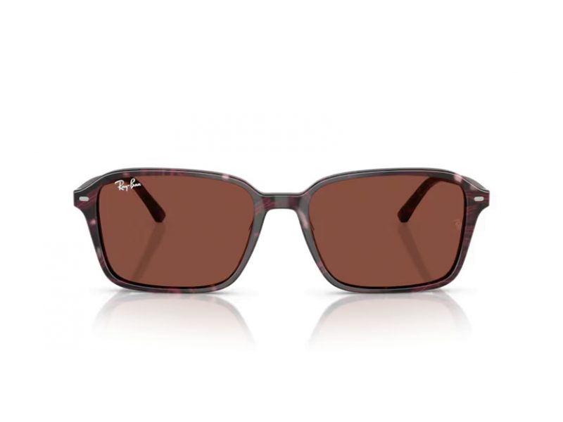 Ray-Ban Raimond Solglasögon RB 2231 1416C5