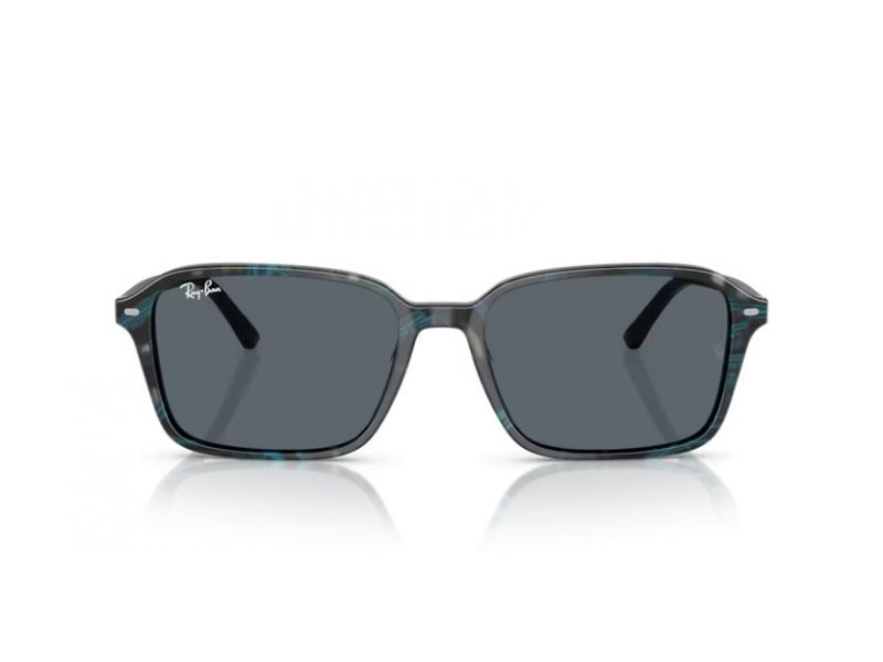 Ray-Ban Raimond Solglasögon RB 2231 1417R5