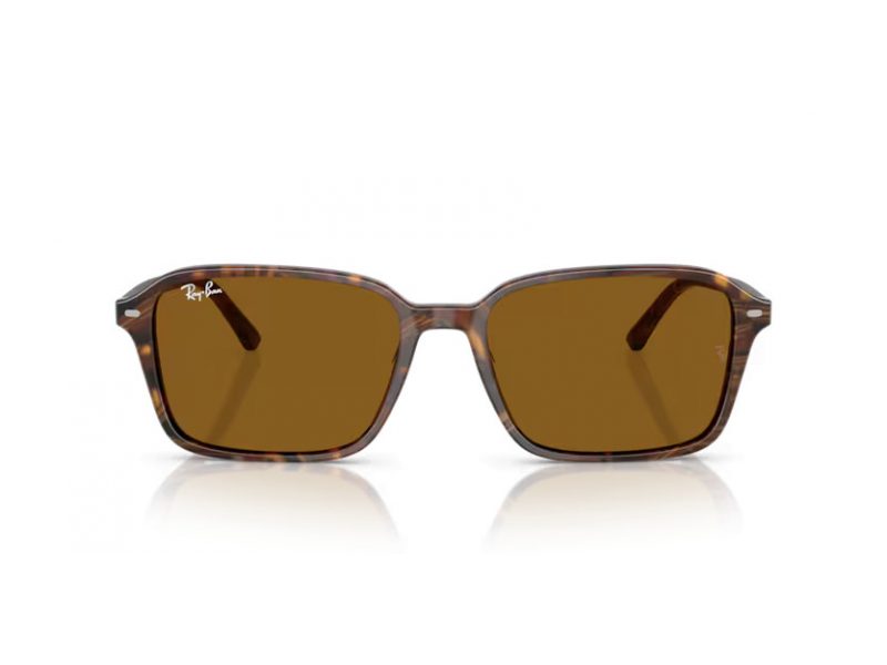 Ray-Ban Raimond Solglasögon RB 2231 141833