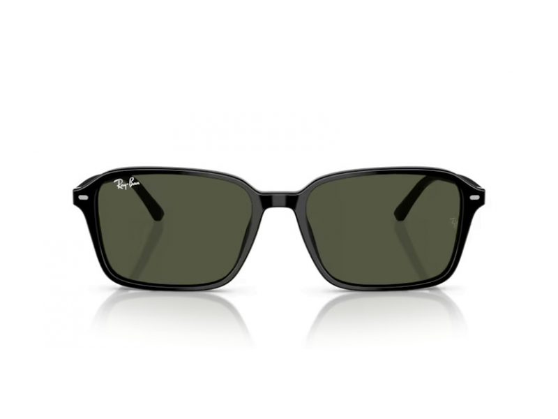 Ray-Ban Raimond Solglasögon RB 2231 901/31