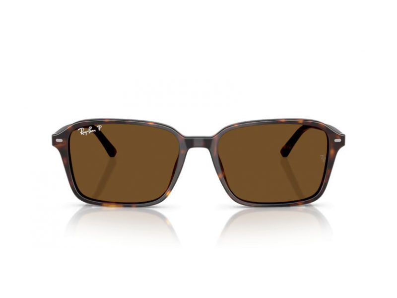 Ray-Ban Raimond Solglasögon RB 2231 902/57