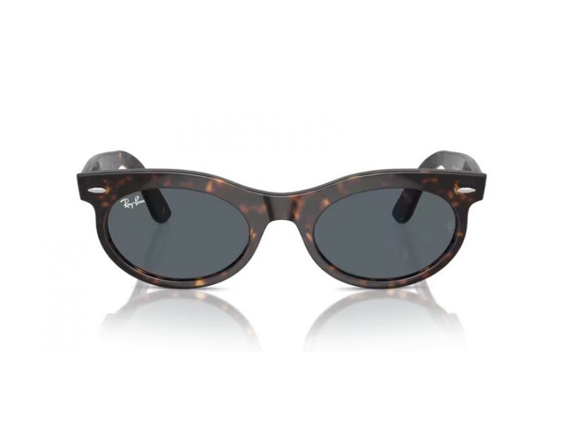 Ray-Ban Wayfarer Oval Solglasögon RB 2242 902/R5