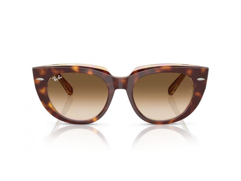 Ray-Ban Doreen Solglasögon RB 2286 141451