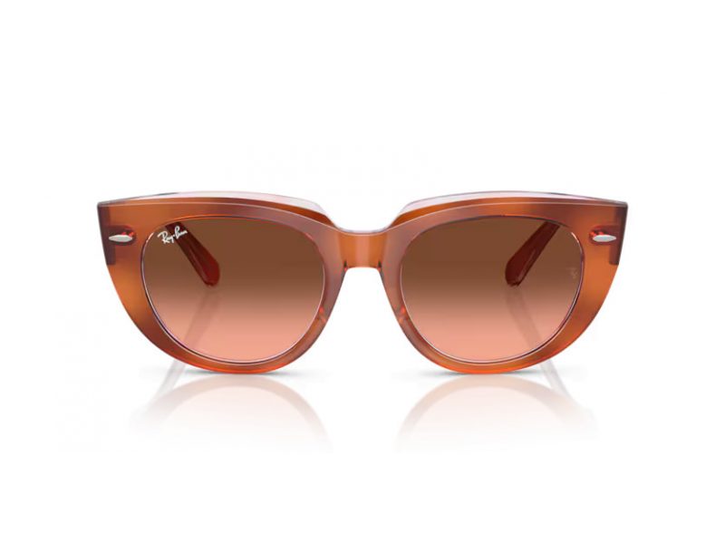 Ray-Ban Doreen Solglasögon RB 2286 1415A5