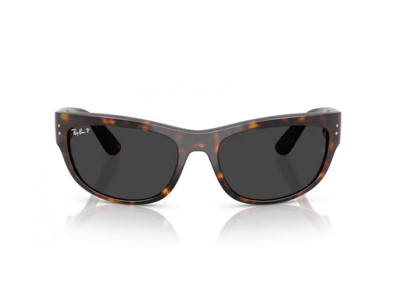 Ray-Ban Mega Balorama Solglasögon RB 2289 902/48