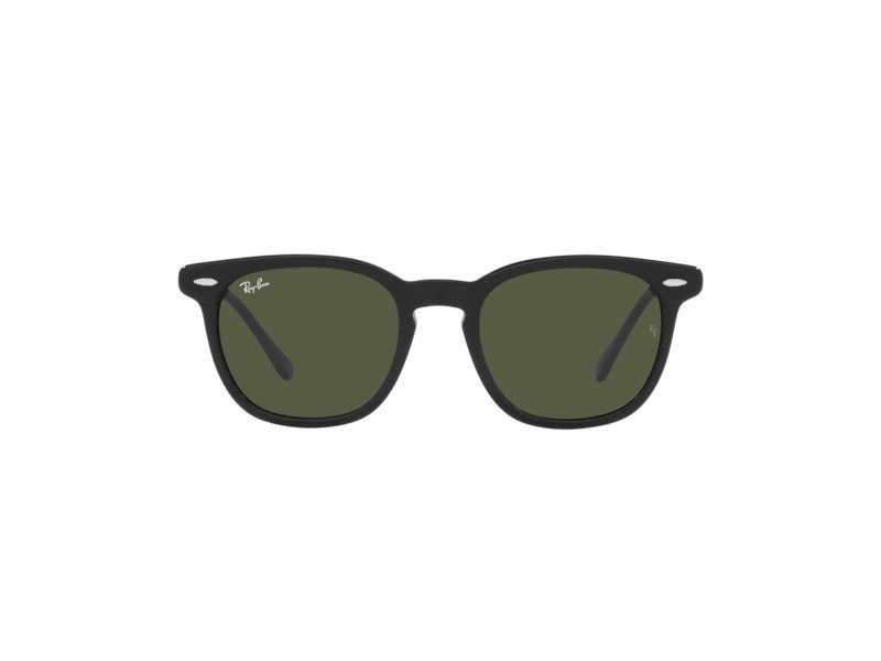 Ray-Ban Hawkeye Solglasögon RB 2298 901/31