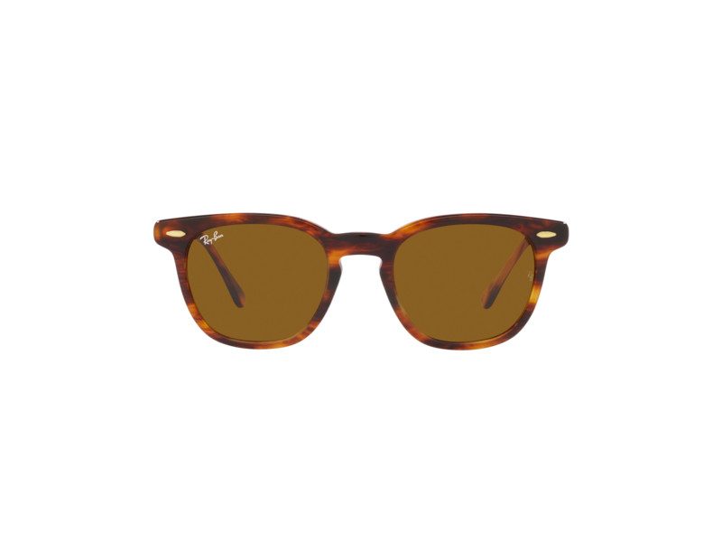 Ray-Ban Hawkeye Solglasögon RB 2298 954/33