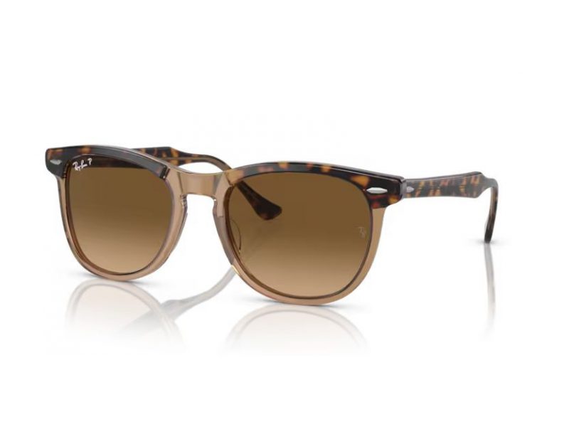 Ray-Ban Eagleeye Solglasögon RB 2398 1292M2