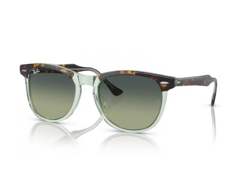 Ray-Ban Eagleeye Solglasögon RB 2398 1376BH