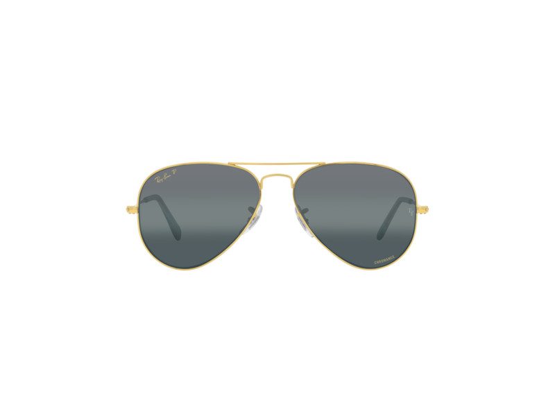 Ray-Ban Aviator Large Metal Solglasögon RB 3025 9196/G6