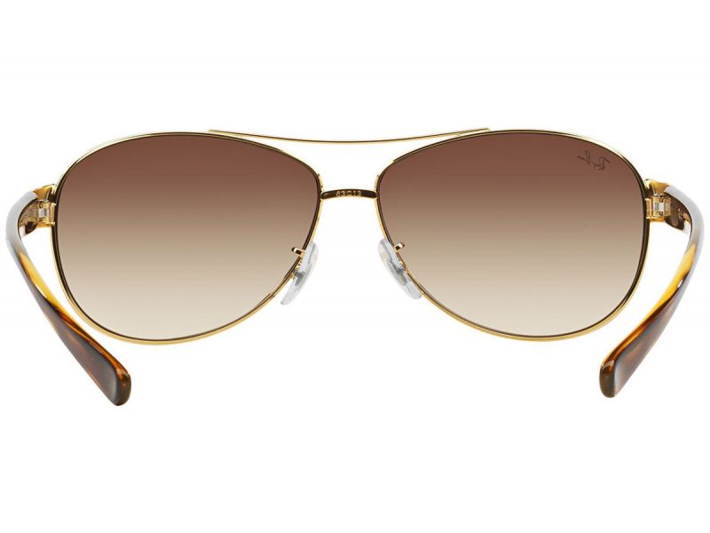 Ray-Ban Solglasögon RB 3386 00113