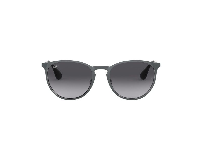 Ray-Ban Erika Metal Solglasögon RB 3539 192/8G